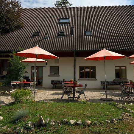 Delémont Youth Hostel Buitenkant foto
